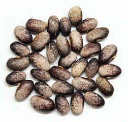 Meskwaki Heirloom Beans