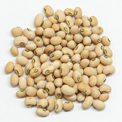Meskwaki Heirloom Beans
