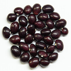 Meskwaki Heirloom Beans