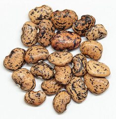 Meskwaki Heirloom Beans