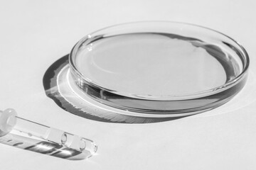 Petri dishes. With transparent liquid. With solution. Medical pipette. On a white background.
