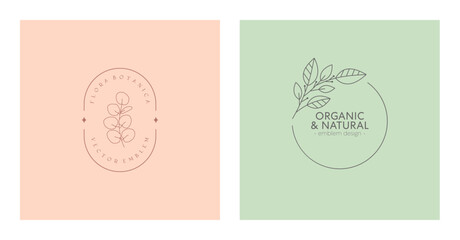 Vector floral organic emblems.Natural logo designs with linear eucalyptus branch and frames.Modern eco or bio badges in trendy minimalist style.Branding design templates.