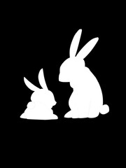 white rabbit on black