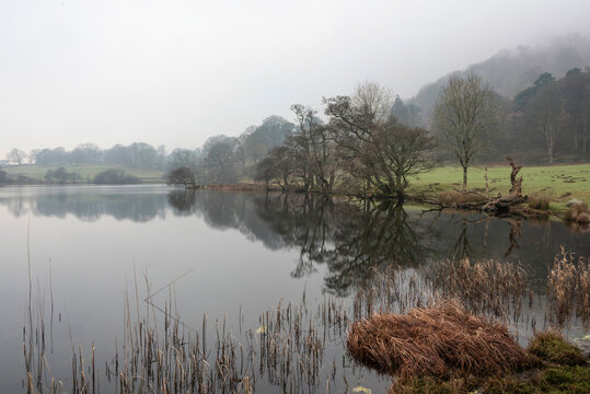 Beautiful peaceful Winter landscape image of Loughtrigg Tarn on misty morning with calm water and foggy countryside in the background