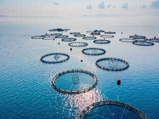 Fish farm floating net sea water surface coast skyline seafood business aquaculture, aerial view