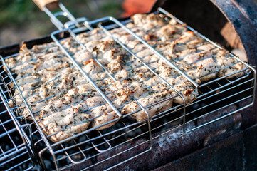 Grilled chicken skewers, shish kebab, fried chicken drumsticks on a skewer, outdoor picnic