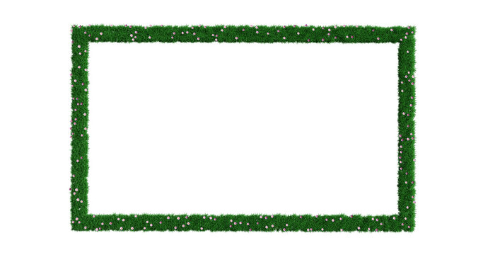 A simple frame of green grass and multicolored flowers isolated on a white background for spring and summer design, 3D rendering