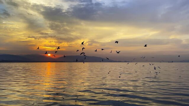 Dreamy Romantic Sunset and the Birds in Sea