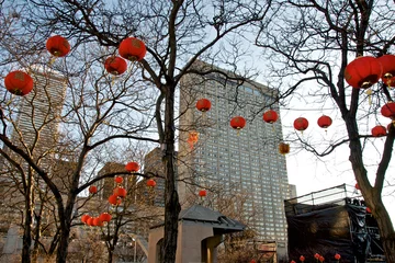 Tuinposter Chinese lanterns hanging on the public park in downtown Toronto, Canada. Chinese new year decoration. Lunar new year concept © Elton