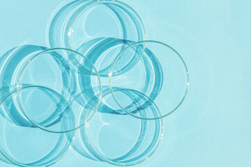 Petri dish. A set of Petri cups. On a blue blue background.