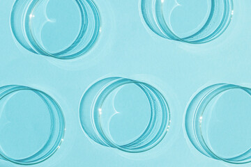 Petri dish. A set of Petri cups. On a blue blue background.