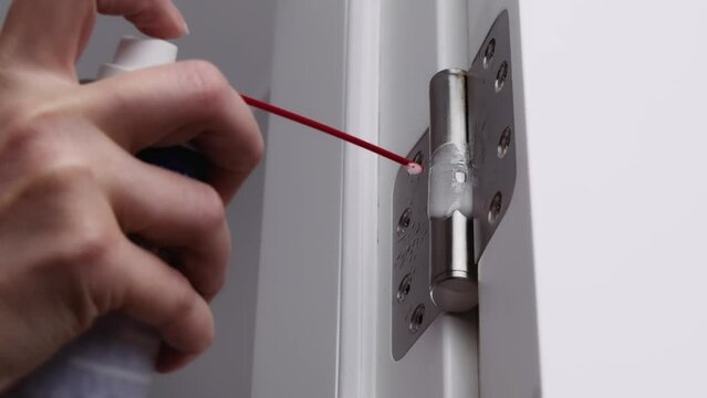 lubrication of door hinges. adjusting door hinge using lubricating oil. indoors. fixing door squealed domestic problem.