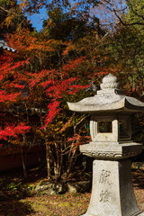 日本　京都府京都市にある毘沙門堂の境内の紅葉