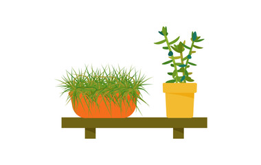 House plants. Flowers in a pot on a wooden shelf. Design element. Vector illustration