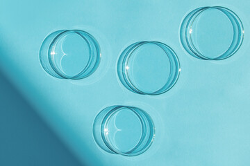 Petri dish. A set of Petri cups. On a blue blue background.