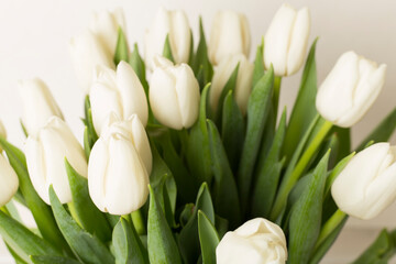 Wonderful white tulip bouquet, closeup view