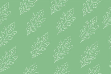 Fototapeta na wymiar Seamless pattern of green leaves of Mizuna lettuce. Vector illustration of Japanese mustard