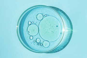 Petri dish. Petri's cup with liquid. Chemical elements, oil, cosmetics. Gel, water, molecules, viruses. Close-up. On a blue background.