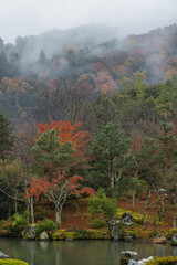日本　京都府京都市にある天龍寺の曹源池庭園の紅葉と雨で霞がかった嵐山