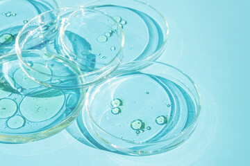 Petri dish. Petri cups with liquid. Set. Chemical elements, oil, cosmetics. Gel, water, molecules, viruses. Close-up. On a blue background.