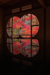 日本　京都府京都市の嵯峨嵐山にある祐斎亭の丸窓の部屋の机に反射して映る雨に濡れた紅葉