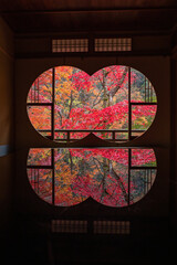 日本　京都府京都市の嵯峨嵐山にある祐斎亭の丸窓の部屋の机に反射して映る雨に濡れた紅葉