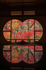 日本　京都府京都市の嵯峨嵐山にある祐斎亭の丸窓の部屋の机に反射して映る雨に濡れた紅葉