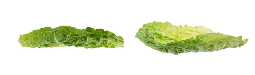 Young salad isolated on white background