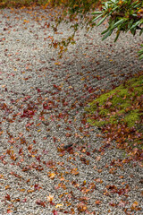 日本　京都府京都市の嵯峨嵐山にある宝厳院の庭園　雨に濡れた紅葉