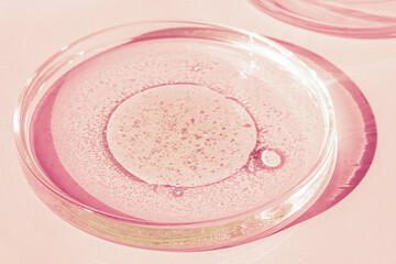 Petri dish. Petri's cup with liquid. Chemical elements, oil, cosmetics. Gel, water, molecules, viruses. Close-up. On a pink background.