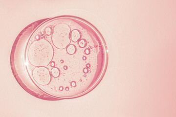 Petri dish. Petri's cup with liquid. Chemical elements, oil, cosmetics. Gel, water, molecules, viruses. Close-up. On a pink background.