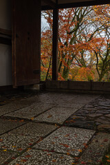 Obraz premium 日本 京都府京都市の嵯峨嵐山にある常寂光寺の仁王門と雨に濡れた紅葉