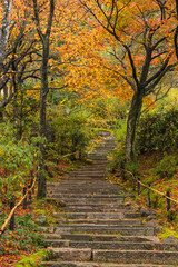 Fototapeta na wymiar 日本　京都府京都市の嵯峨嵐山にある常寂光寺の参道　雨に濡れた紅葉