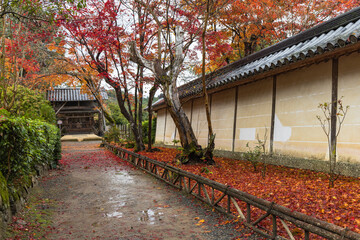 日本　京都府京都市の嵯峨嵐山にある二尊院の雨に濡れた紅葉と八社宮
