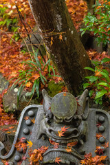 日本　京都府京都市の嵯峨嵐山にある二尊院の本堂から見える庭園にある鬼瓦と紅葉