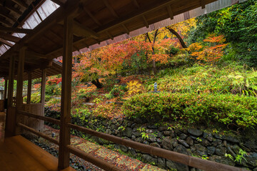 日本　京都府京都市の嵯峨嵐山にある二尊院の本堂から見える六道・六地蔵の庭と紅葉