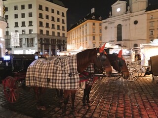 tourists in the city