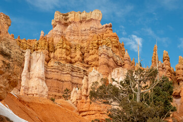 Naklejka premium Snowy Hoodoo path in Bryce National Park