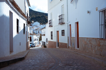 Fototapeta premium street in an old town in andalucia with white colored houses