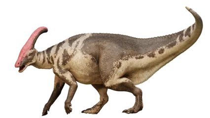 Schilderijen op glas Parasaurolophus, dinosaur from the Late Cretaceous Period isolated on transparent background © dottedyeti