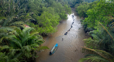A herd of buffalo moves through a canal to reach grasslands in rural Vietnam's Mekong Delta on the outs