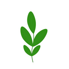 Tropical Leaf Element