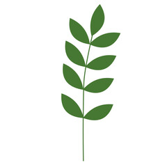 Tropical Leaf Element