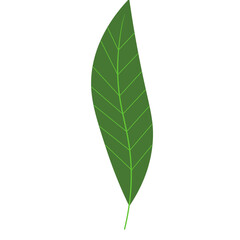Tropical Leaf Element