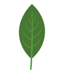 Tropical Leaf Element
