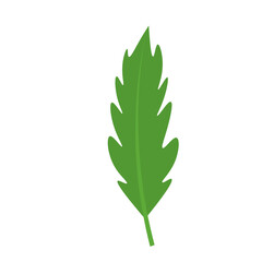 Tropical Leaf Element