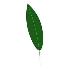 Tropical Leaf Element