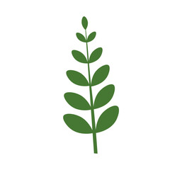 Fototapeta premium Tropical Leaf Element