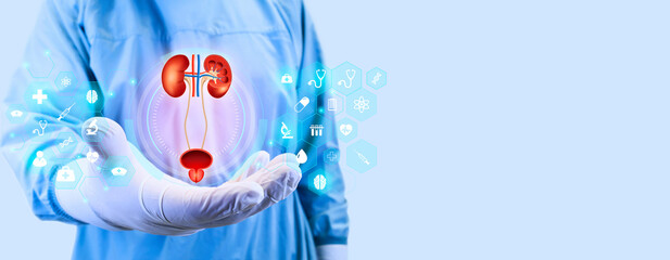 Nephrology, medical care for kidney problems. Kidneys, bladder and prostate, kidney pain, kidney...
