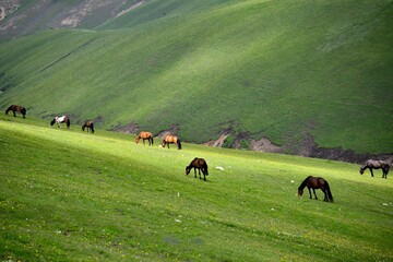 Fototapeta na wymiar Qiongkushtai is a secret garden and a small Kazakh village in Xinjiang.